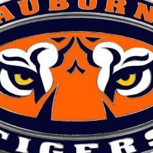 Meet your Posher, Mickey